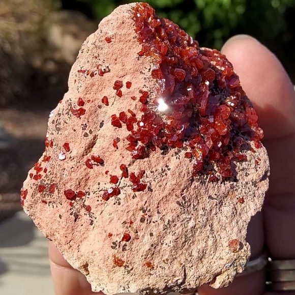 Vibrant Vanadinite Specimen - Picture 3 of 16